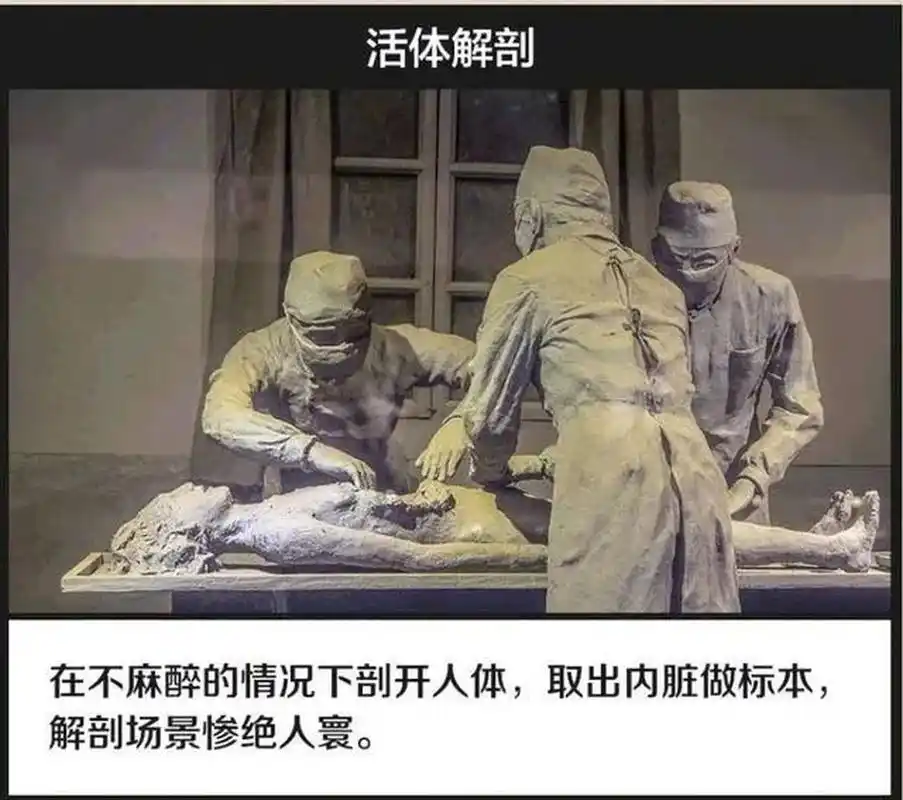 731部分罪行是从1931年东北沦陷开始,恶行累累 鼠疫,日本鬼子研究鼠疫