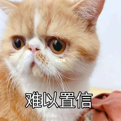 不敢相信自己的小耳朵