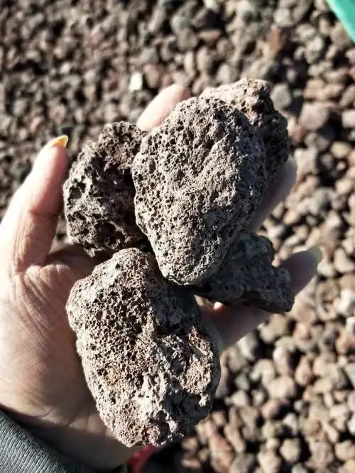 诚鑫厂家直销火山石 园艺火山石 过滤水用火山石 多肉植物栽培基