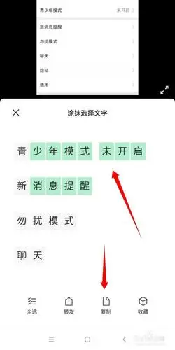 怎样复制图片上的文字