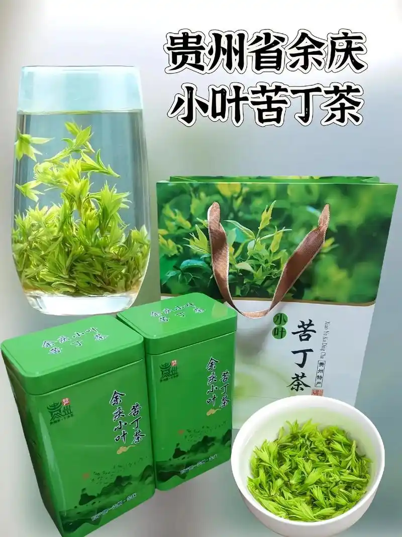 贵州特产余庆小叶苦丁茶嫩芽2024春茶.余庆小叶苦丁茶