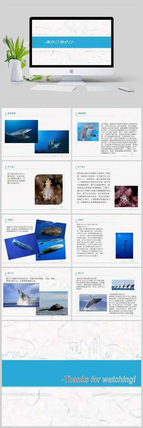 海洋动物介绍ppt模板