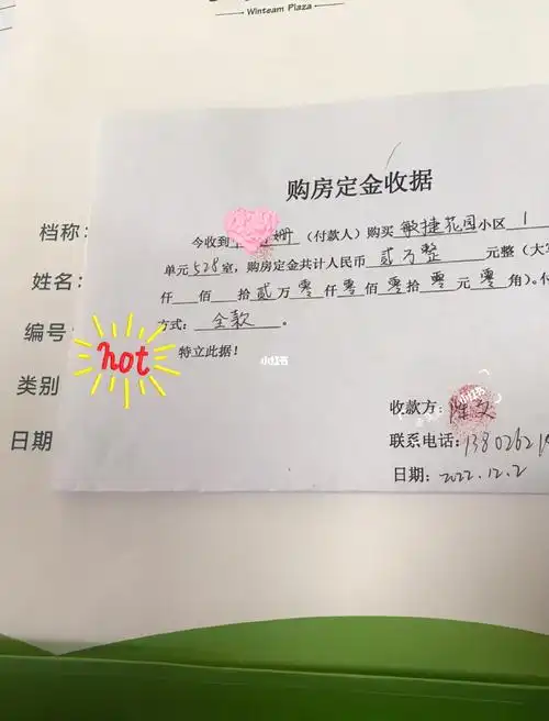 人生第一套房,一室一厅,首付2w,分期10年.