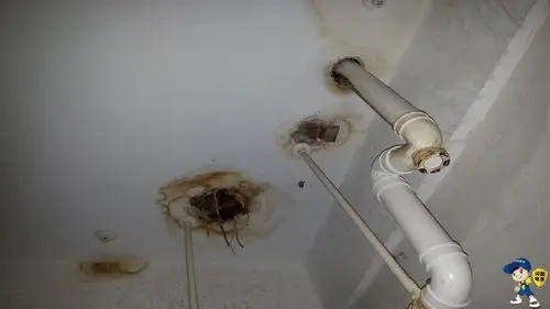 厨房漏水怎么办厨房漏水到楼下怎样维修闪电优家告诉你