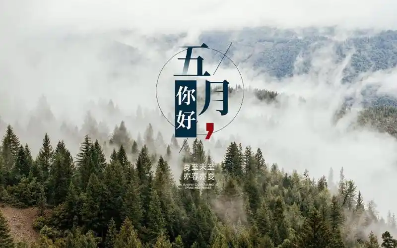 五月创意文字图片桌面壁纸