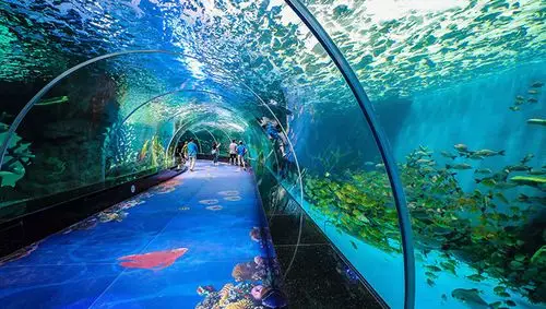 奇妙海洋世界_福州永泰欧乐堡国际旅游度假区