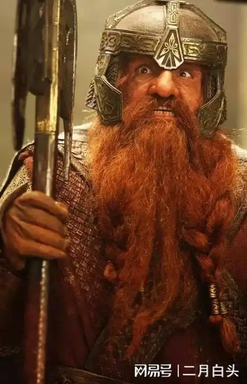 结局:去了众神之地维林诺主要成就:护戒远征队成员,魔戒大战的参与者