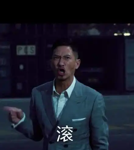 来自渣渣辉的警告表情包v10