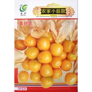 农家小菇娘小黄姑娘果种子 春秋四季水果秋季 阳台盆栽大田野果种