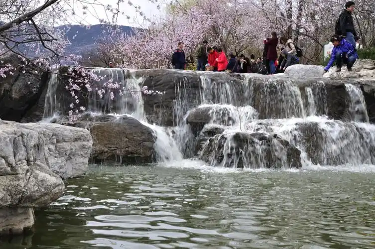 标题:北京植物园-桃花源