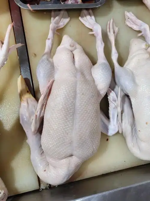 鸭子有肉鸭和海鸭,肉鸭肥海鸭瘦,根据个人需求而供.