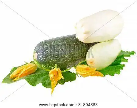 black vegetable marrow on white background.