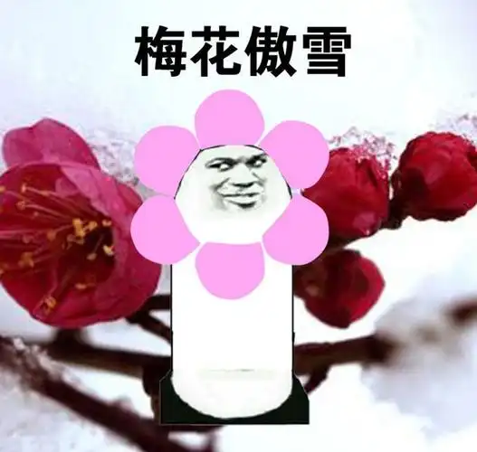 斗图表情包搞笑图片之我骄傲,我傲娇 : 1,骄傲 2,无比骄傲 3,骄傲突破