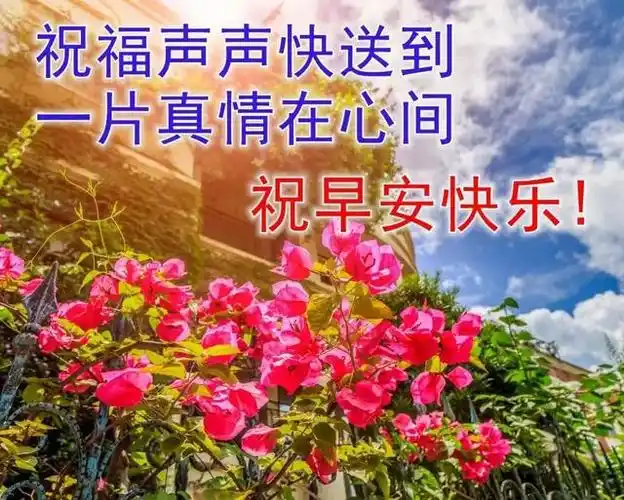非常漂亮的早上问候动态表情图片唯美温馨 清晨群发早上好问候语