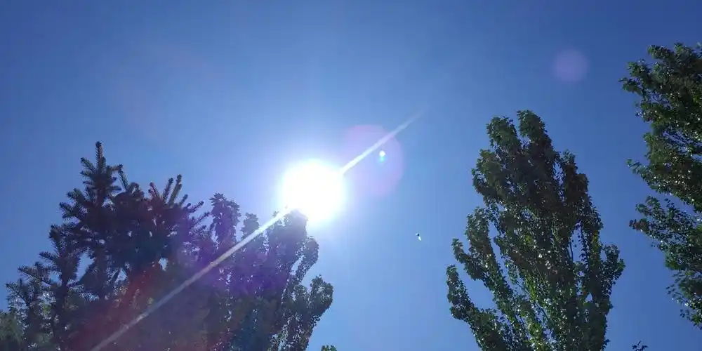 秋天火辣辣的太阳