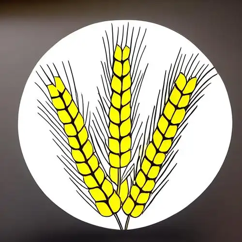 国徽麦穗简笔画