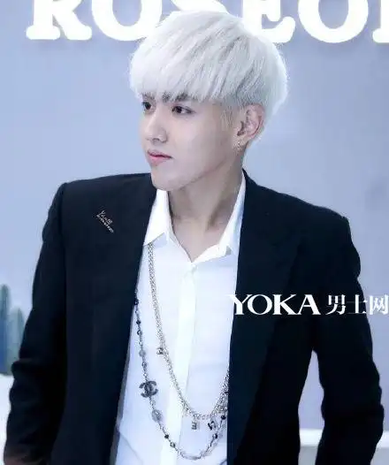 吴亦凡白发刘海发型