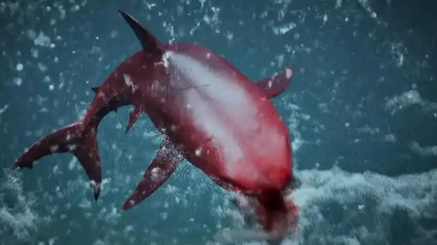 灾难电影《血鲨》,鲨鱼被注入改造基因后,全身变成了