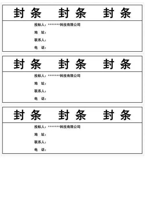 标书封条样式汇总docx