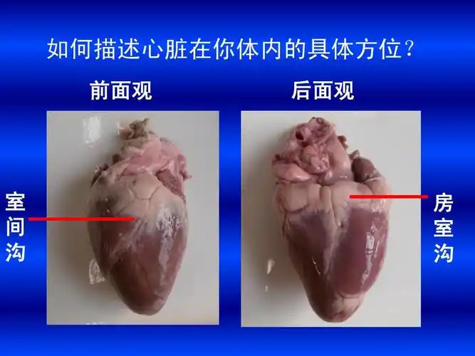 间 室 沟房 室  沟