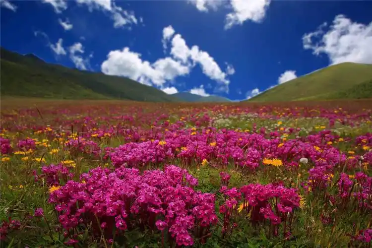 四川康定启动"视界·康定"全国摄影大赛 让游客听情歌看康定