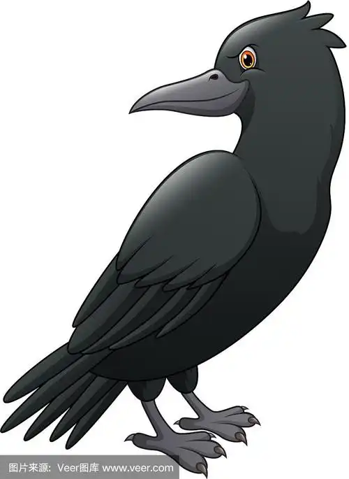 卡通乌鸦孤立在白色背景