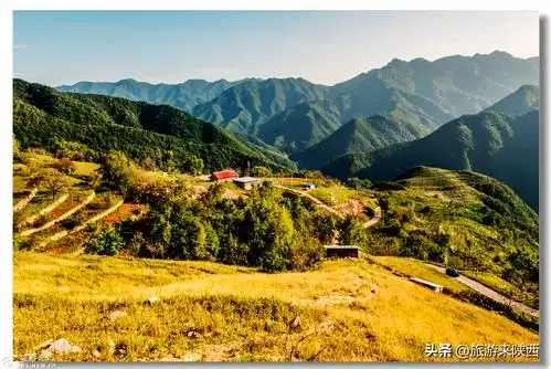 距西安最近,最美的高山草甸,流峪寺草甸!_手机搜狐网