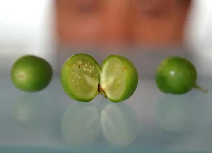 山东媒体:脱毒种薯成长档案