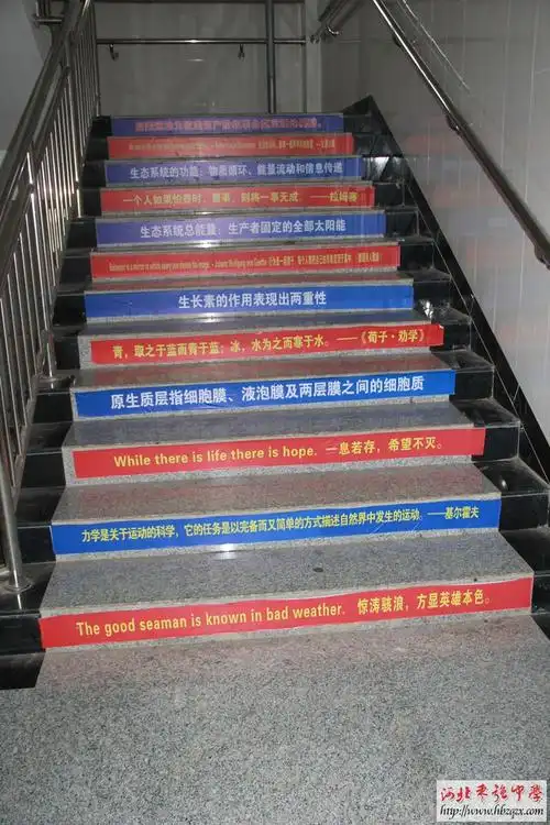 楼梯间宣传图片凸显学校文化特色