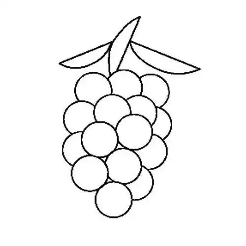 葡萄简笔画葡萄简笔画图片