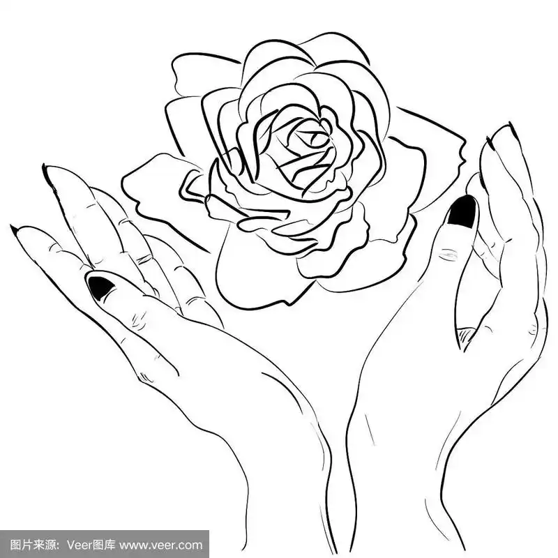 双手捧着一朵玫瑰花孤立的轮廓