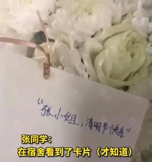河南女大学生清明收到前任送的白菊女孩扔了祭奠死去的爱情