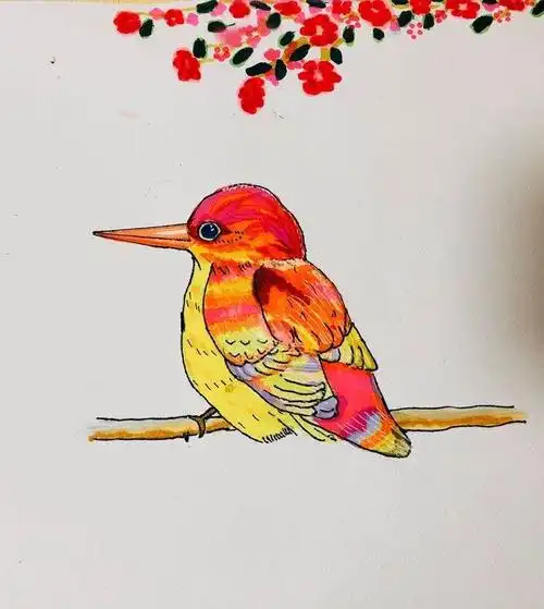 二年级美术——《我喜欢的鸟》