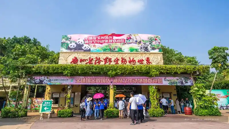 4,长隆野生动物园