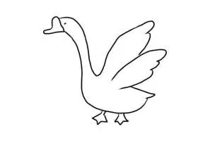 大白鹅简笔画 鹅怎么画简笔画图片