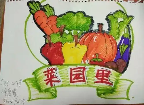 小菜园简笔画彩色