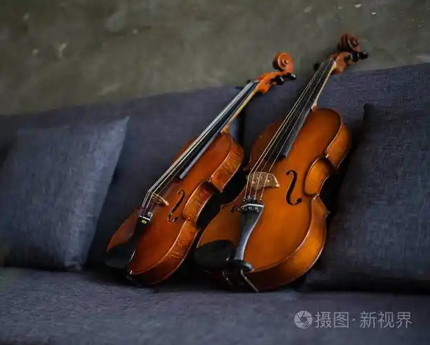 木制小提琴和中提琴放在沙发上