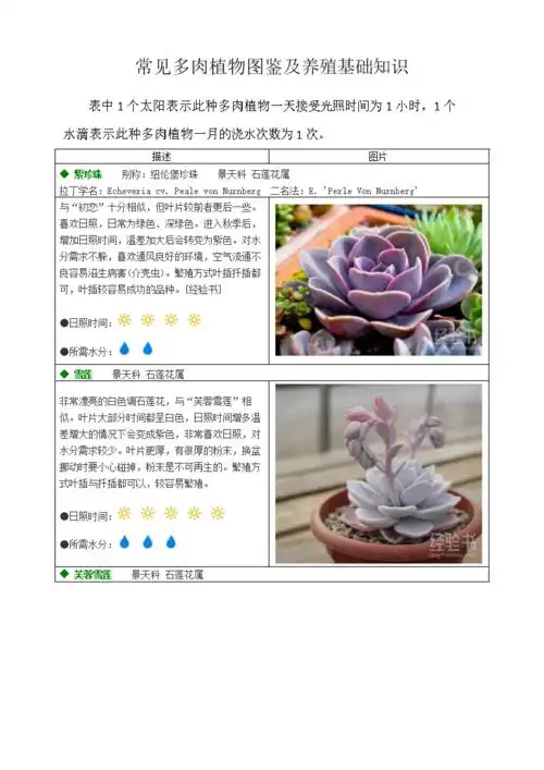 多肉养护知识多肉养护知识小卡片