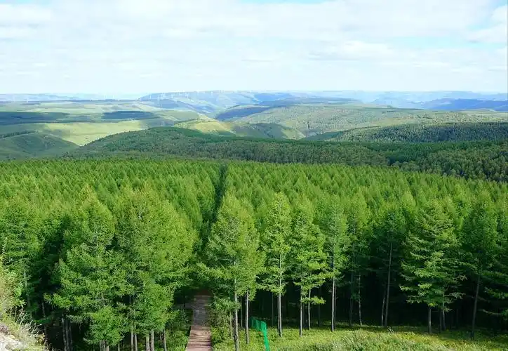 林海青山塞罕坝