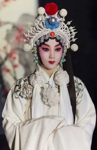 国粹京剧太美了,生旦净末丑,一样一样都有,令人观之心旷神怡.