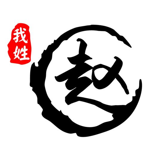 魂速遮盖划痕摩托电瓶车文字汽车装饰赵文字我姓百家姓汽车装饰贴