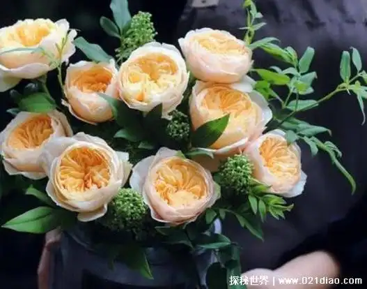 一般我们在街头买玫瑰花都用不了多少钱,就算是在花店购买几十朵玫瑰