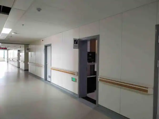 冰火板阻燃耐火板墙面装饰板防火板医院洁净免漆板_环境_病人_医疗
