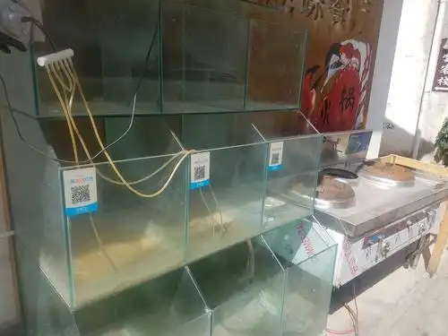 饭店鱼缸处理