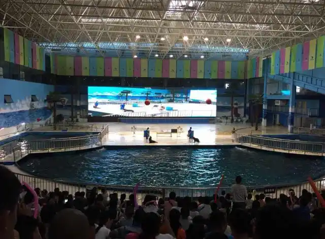 开封这个海洋馆每个周末都会吸引很多宝爸宝妈们前来溜娃哦_极地海洋