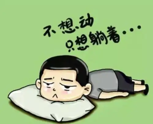 人懒了,做什么都不想动 - 转友屋