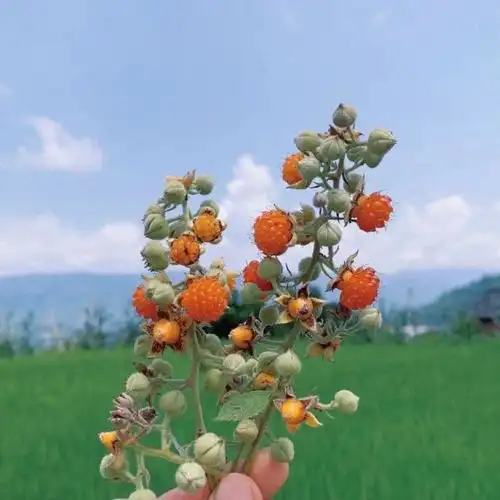 很温柔的朋友圈配图