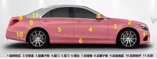 教大家了解一下,漆面是怎么划分的.""什么?就一条划痕怎么这么贵?