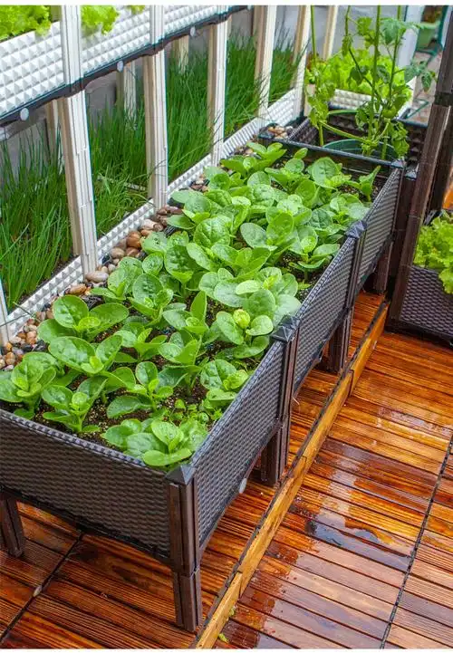 阳台立体种植箱家庭种菜盆种菜神器大号花箱种植槽长方形家用花盆