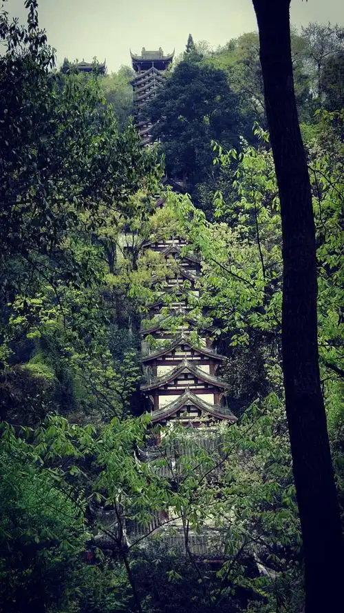拜水都江堰,问道青城山!